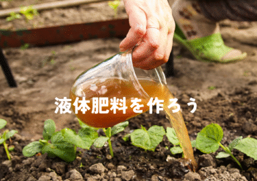 液肥（液体肥料）を自作する。コストを抑え、有機・自然農法のススメ。