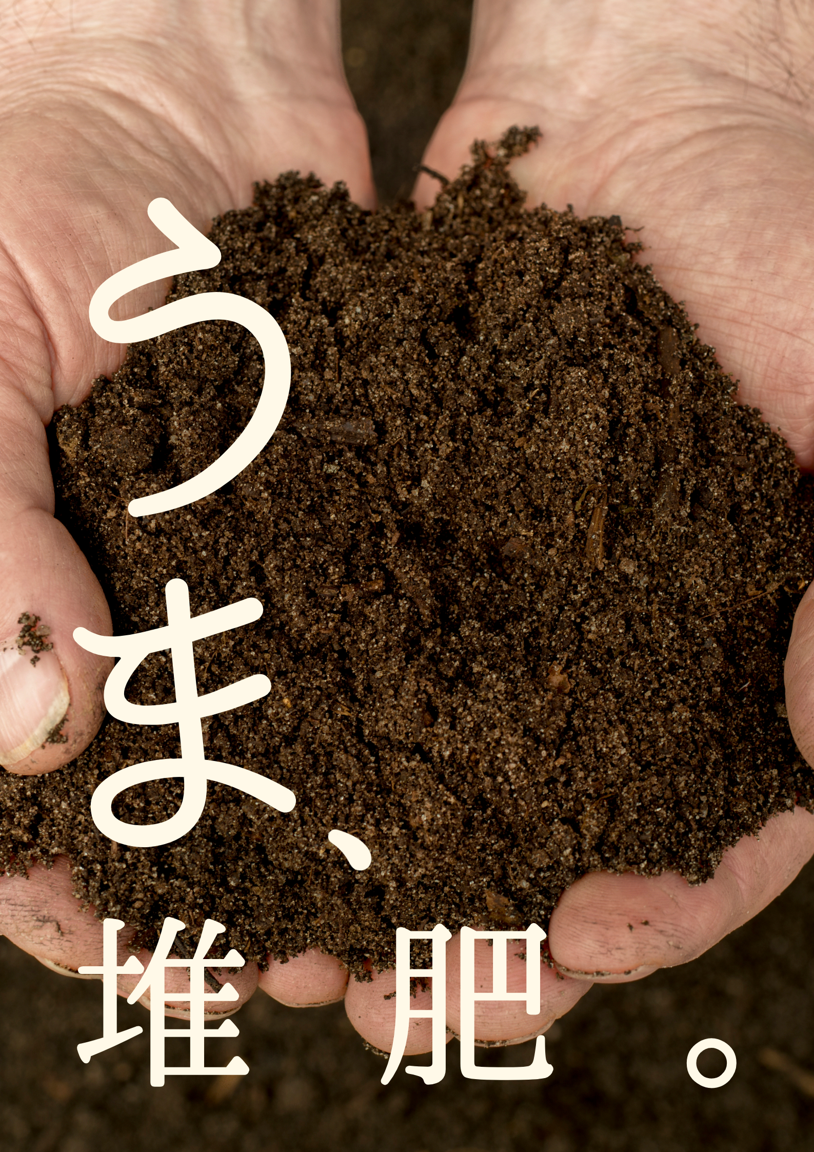 馬糞堆肥の効果と魅力：土壌と作物を豊かにする自然の力
